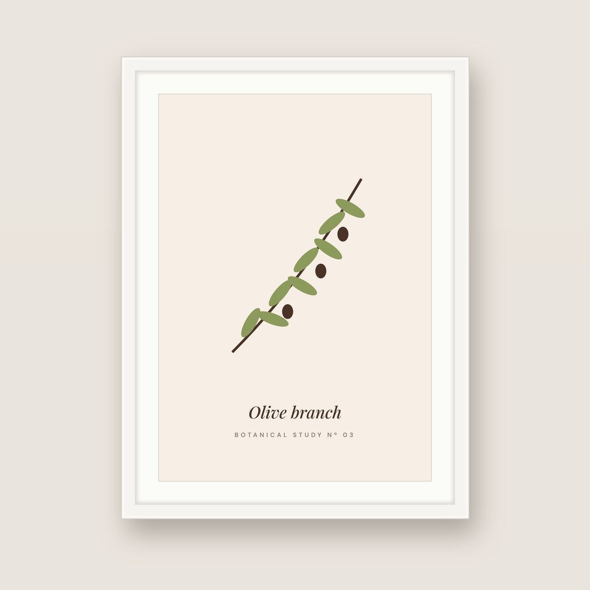 Olive branch in a white frame
